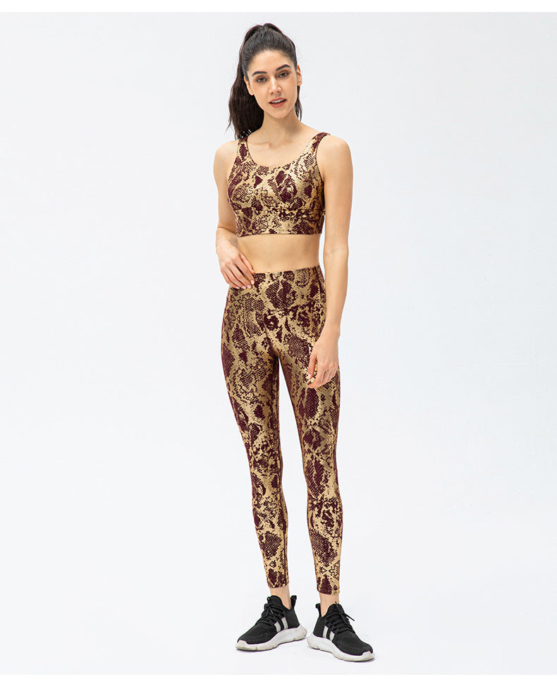 Leggins Snake metal vino